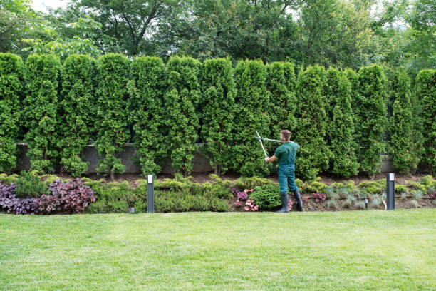 Grass Overseeding in Tinton Falls, NJ