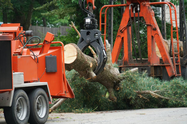 Best Utility Line Clearance  in Tinton Falls, NJ